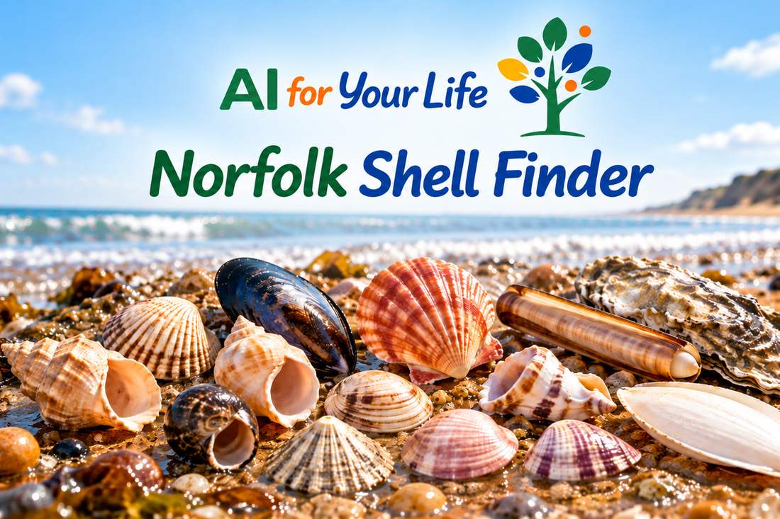 Norfolk Shell Finder artwork: seashells including cockles, mussels, a scallop, a razor shell and an oyster on a sunny Norfolk beach, with the AI For Your Life logo